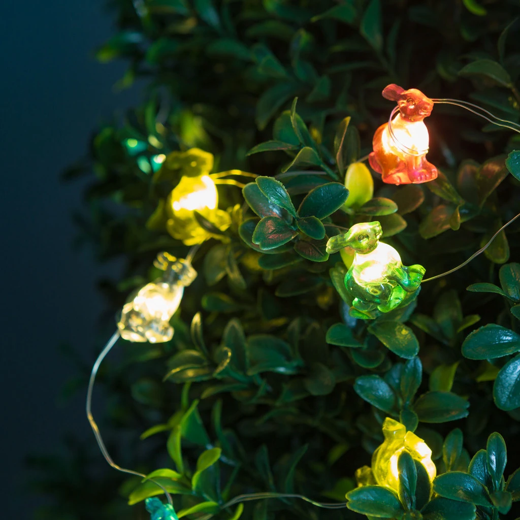 Family 58923C nagyítás