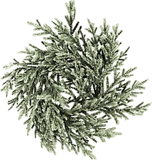 Family 58530B nagyítás