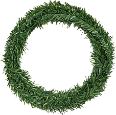 Family 58559A nagyítás