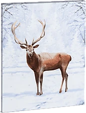 Family 58475 nagyítás