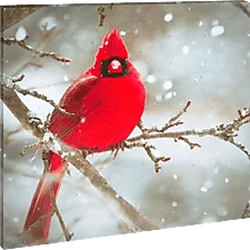 Family 58478 nagyítás