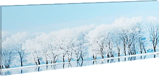 Family 58480A nagyítás