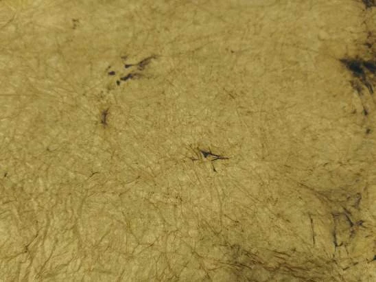 Fekete 20251021ROBOKKERSARGAFEKETE nagyítás