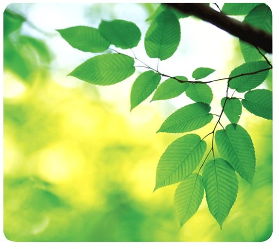 Fellowes 5903801 nagyítás