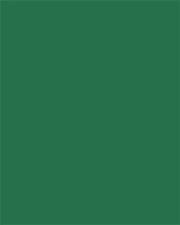 Folia 61221058 nagyítás