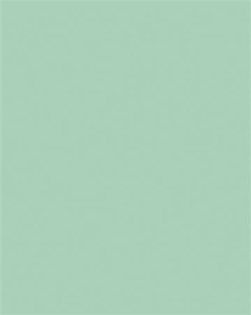 Folia 6325 nagyítás