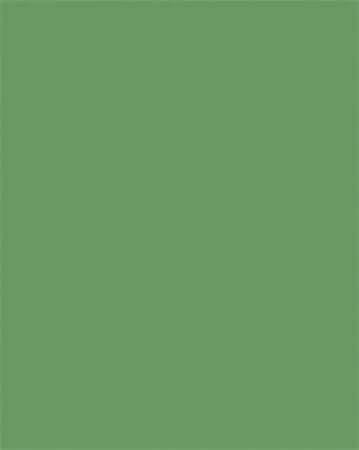 Folia 6353 nagyítás