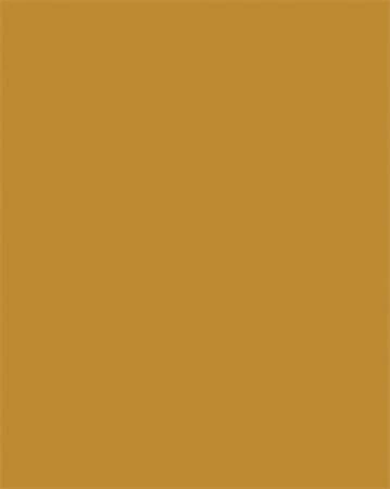 Folia 6376 nagyítás