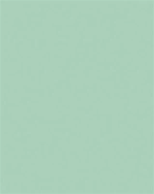 Folia COR_FL61221025 nagyítás