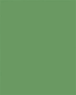 Folia COR_FL6353 nagyítás