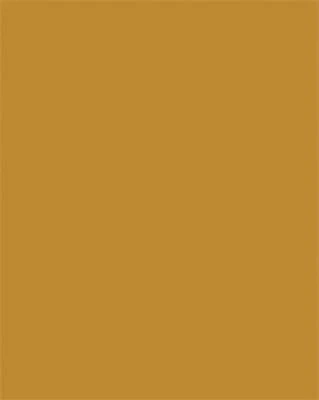 Folia COR_FL6376 nagyítás