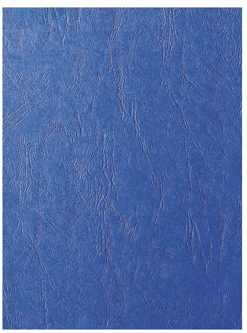 Fornax A4, 250 G nagyítás