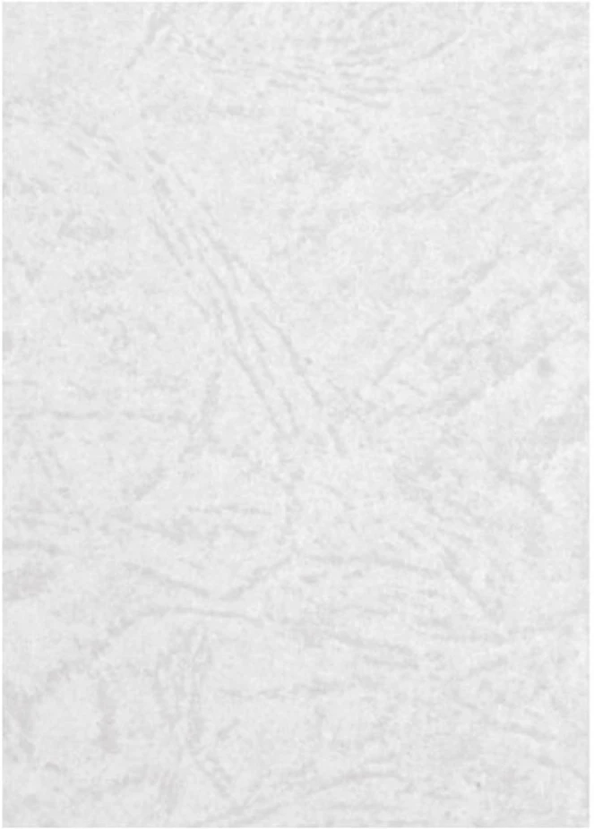 Forpus FO93231 nagyítás