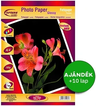 Fortuna 01.00296 nagyítás