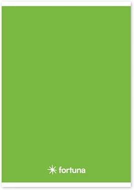 Fortuna 01.02077 nagyítás