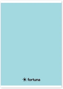 Fortuna 01.02086 nagyítás