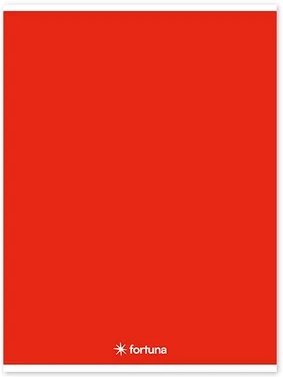 Fortuna 01.02093 nagyítás