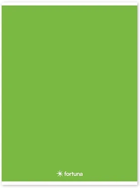 Fortuna 01.02094 nagyítás