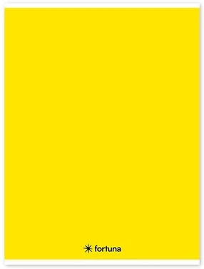 Fortuna 01.02098 nagyítás