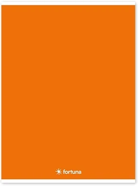 Fortuna 01.02099 nagyítás