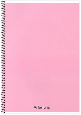 Fortuna 01.02124 nagyítás