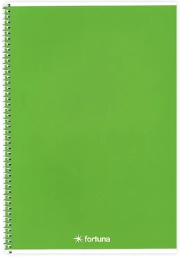 Fortuna 01.02128 nagyítás