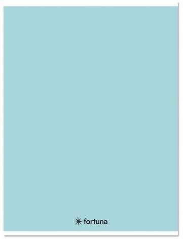 Fortuna 01.08650 nagyítás