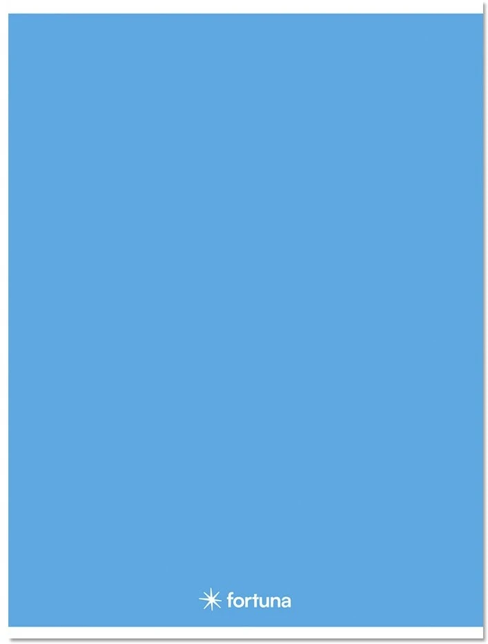 Fortuna 01.08653 nagyítás