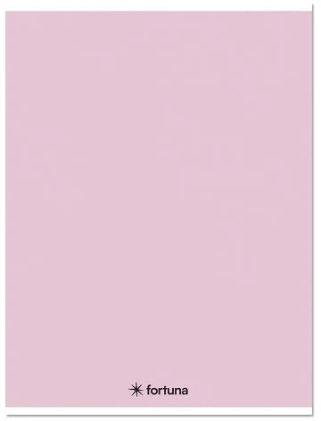 Fortuna 01.08658 nagyítás