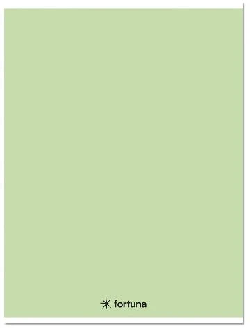 Fortuna 01.08660 nagyítás