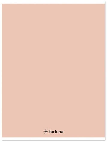 Fortuna 01.08669 nagyítás