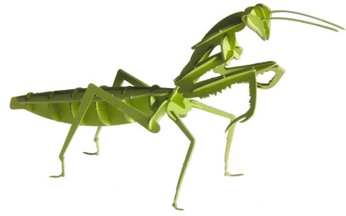 Fridolin 11624 nagyítás