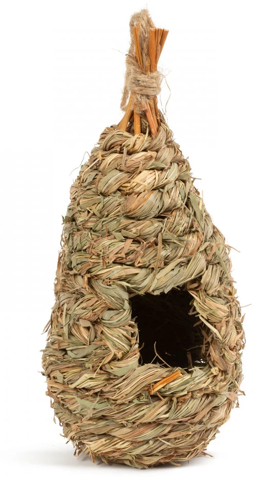 Garden of eden 11280A nagyítás