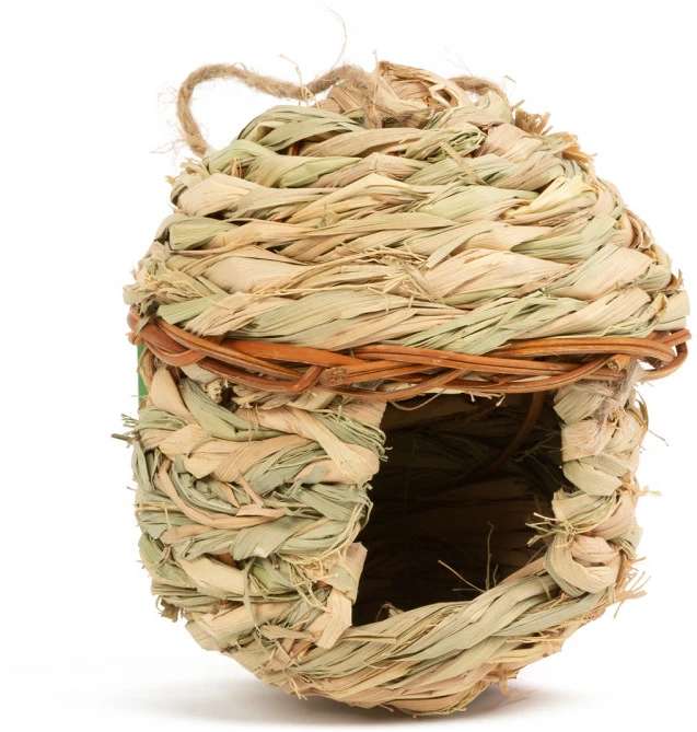 Garden of eden 11280B nagyítás