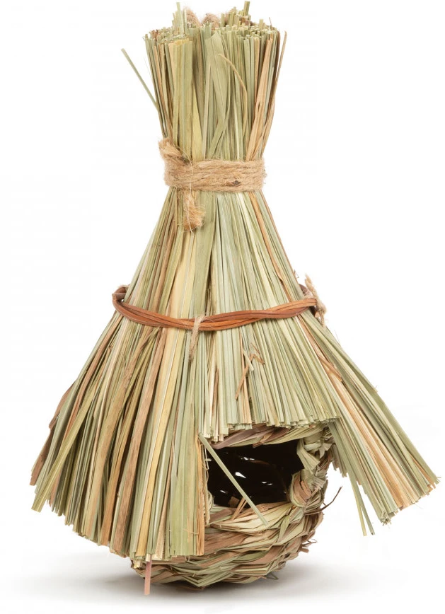 Garden of eden 11280C nagyítás