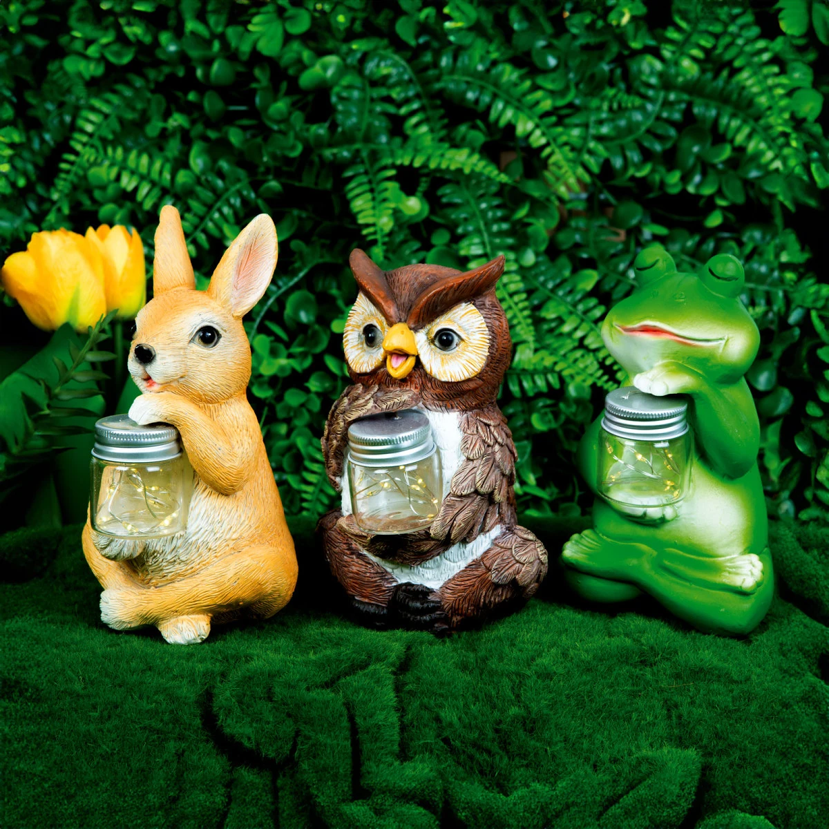 Garden of eden 11430A nagyítás