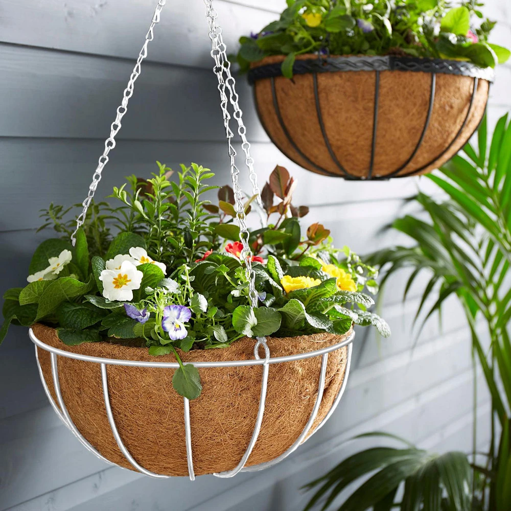 Garden of eden 11566A nagyítás