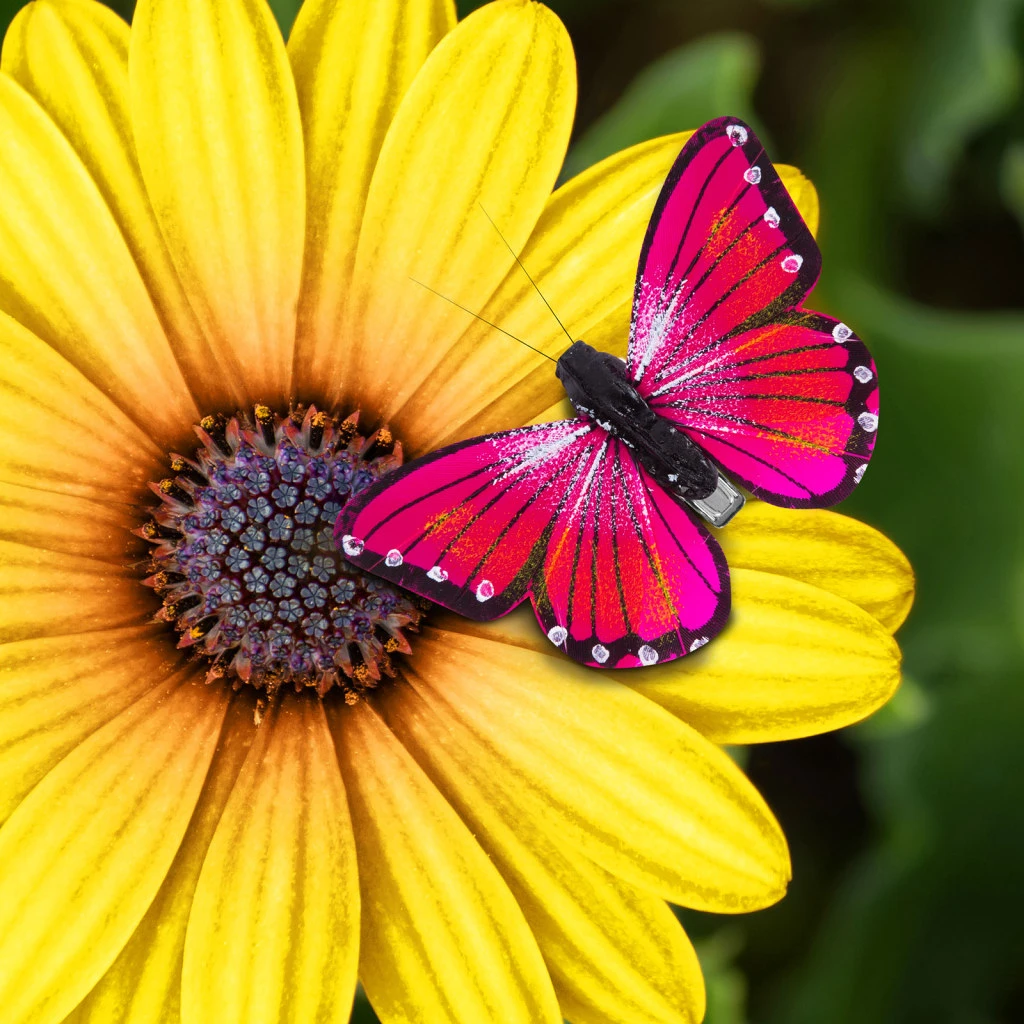 Garden of eden 11694 nagyítás