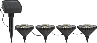 Garden of eden 11732 nagyítás