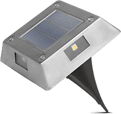 Garden of eden 11440D nagyítás