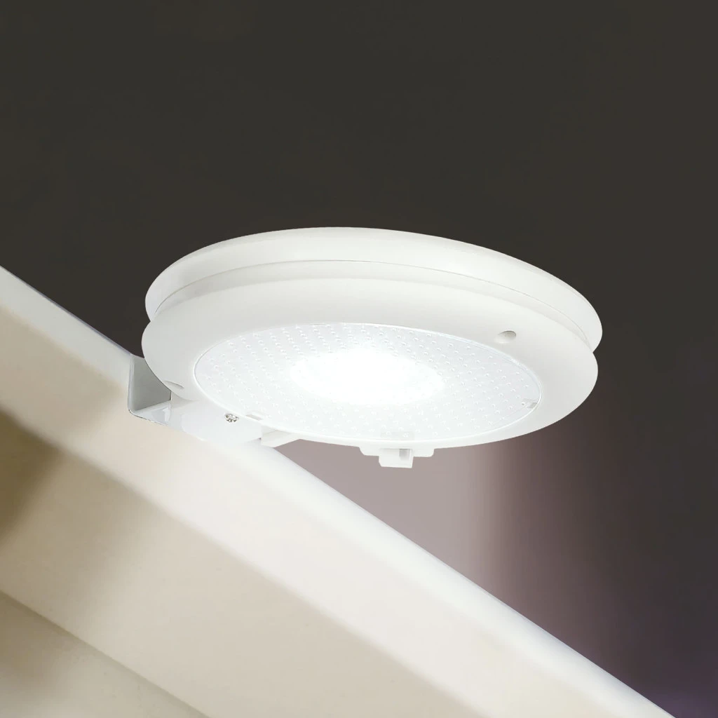 Garden of eden GL11444 nagyítás