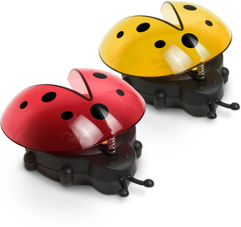 Garden of eden GL11763 nagyítás