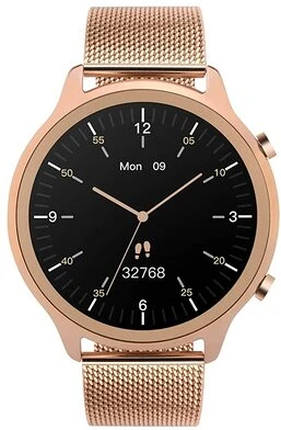 Garett electronics VERONICA_ZLOT_STAL nagyítás