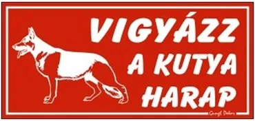 Gungl dekor 21.00118 nagyítás