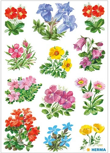 Herma 3582 nagyítás