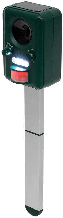 Home AR02 nagyítás