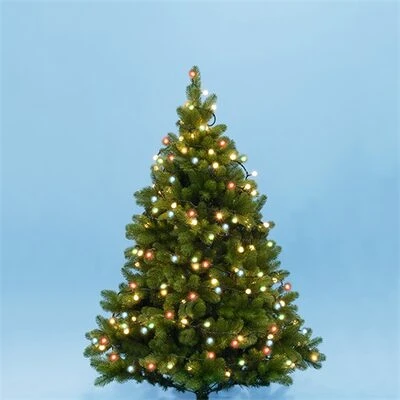 Somogyi KII 100B/M nagyítás