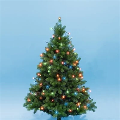 Somogyi KII 50/M nagyítás