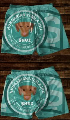 Hvi BVC2-VIZSLA-104 nagyítás