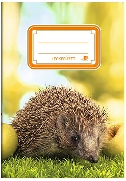 Ico 01.00206 nagyítás